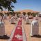 Luxury oasis camp