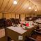 Luxury oasis camp