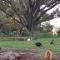 Blair Athol Homestead
