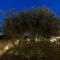 Two Olive Trees - Spetses
