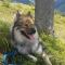 Apart Zillertal