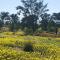 Loch Maree Guest Farm & Field Camp - Askham
