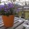 Bnb Castellane Chambre dHotes B&B