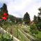 Shervani Hilltop Resort - Nainital