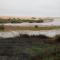 Stiltz Guest House