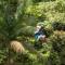 Finca Rosa Blanca Coffee Farm and Inn