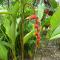 Kekemba Apartments Paramaribo