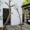 N1 Standalone House Baden - Nussbaumen