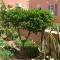 Seelo Guest Accommodation