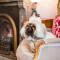 The Hughenden Boutique Hotel