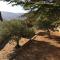 Location Bonnieux Provence