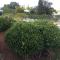 Fascinating & Luxurious Golf,Mountain & Garden view apartment Porto Banus