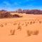 Foto: Wadi Rum Green Desert 11/37