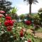 Apartments Roza