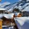 Joli petit appartement cosi 5 personnes maxi plein centre station les deux alpes - لي دوز آلب