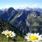 Alp-Chalet