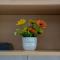 Apartman Dijana