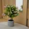 Apartman Dijana