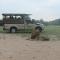Mzsingitana Tented Camp - Hoedspruit