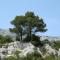 Apartments with a parking space Orebic (Peljesac) - 4564 Foto: Apartments with a parking space Orebic (Peljesac) - 4564
