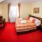 Hotel U Krále