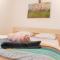 Stay Inn Center Timisoara