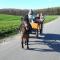 Ostsee Reetkate