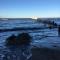 FeWo am Strand Glowe - 格洛韦