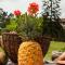 Matisses Hotel & Spa