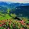 Alpbachblick