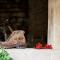 Charming B&B and Osteria La Crisalide