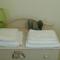 B&B Villa Venere