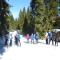 ****FH Blauvogel 60 Harz