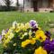 B&B Cuor Di Lavanda