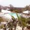 Tenuta Aletheia B&B