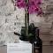 APARTAMENT ELEGANCE PINK