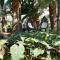 Hotel Parque Tropical