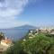 Vesuvio View