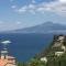 Vesuvio View