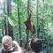 ORANG UTAN TREKING SUMATRA & LOVELY JUNGLE LODGE only book IF you are treking with us - 武吉拉旺