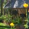 Alaskas Lake Lucille Bed & Breakfast
