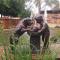 Gabbata Lodge - Leeuwfontein