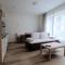 Sunny, fully furnished Studio type with terrace - 比尔森
