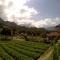 Bale Sembahulun Cottages & Tend - Sembalun Lawang