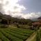 Bale Sembahulun Cottages & Tend