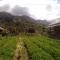 Bale Sembahulun Cottages & Tend