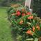 Valley Heights Guest House and B & B