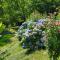 Les Chalets de Pierretoun - Labastide-Clairence