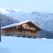 Chalet des Cascades - Sixt