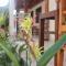 JS Guest House